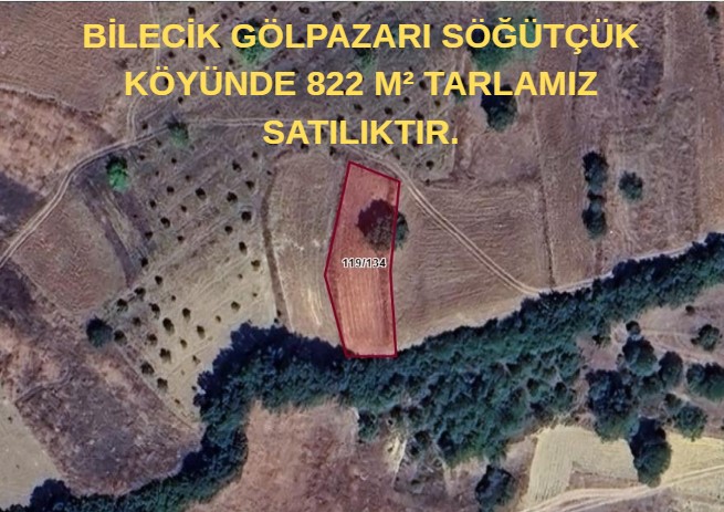 BİLECİK GÖLPAZARI SÖĞÜTÇÜK TE  822 M² TARLAMIZ SATILIKTIR. - BİLECİK GÖLPAZARI fotoğraf 4